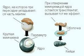 images.jpg images.jpg